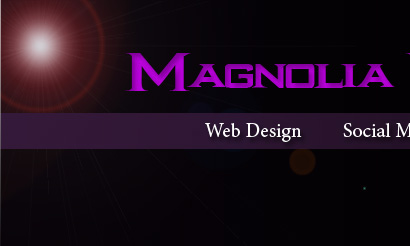 Web Design Montgomery TX